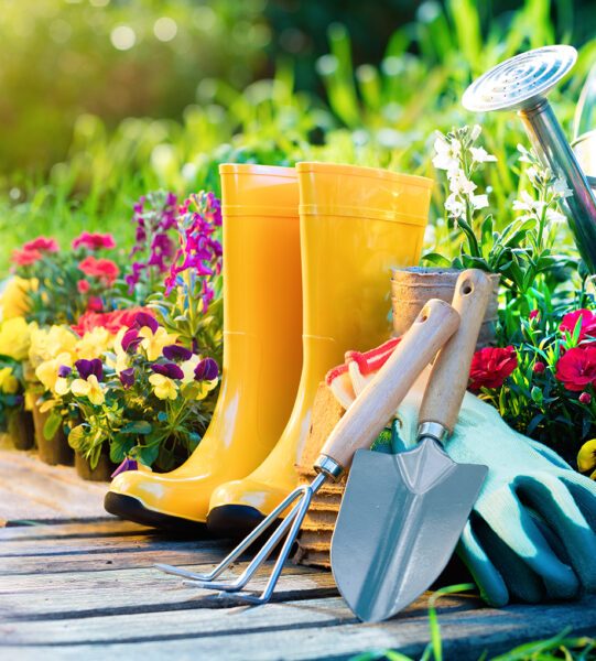 Basic Gardening