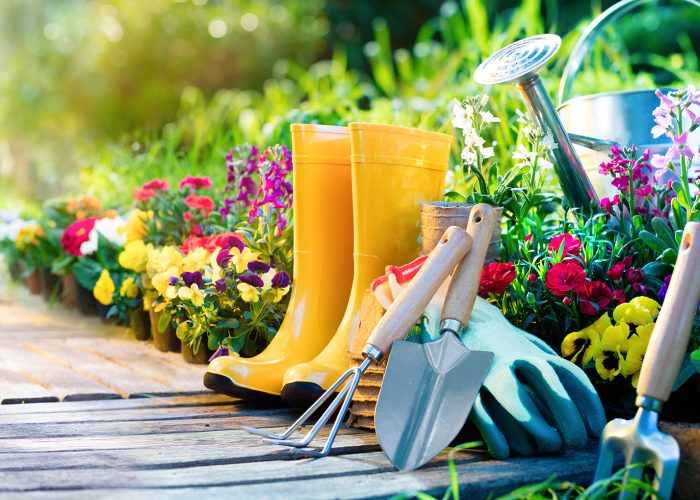 Basic Gardening
